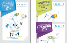 Plaquettes IEEPI 2014